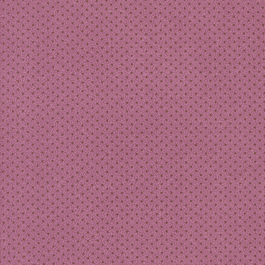 49293 22.jpg