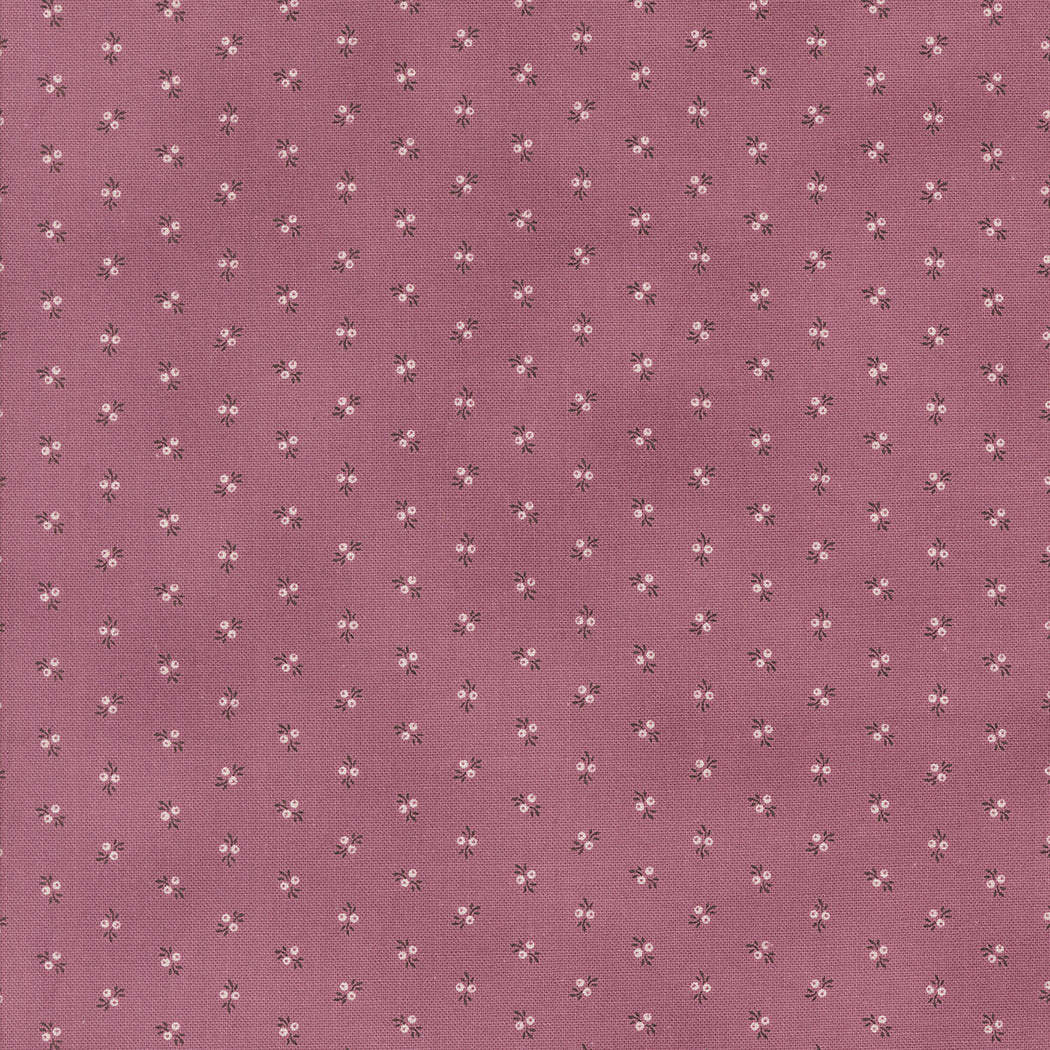 49295 25.jpg