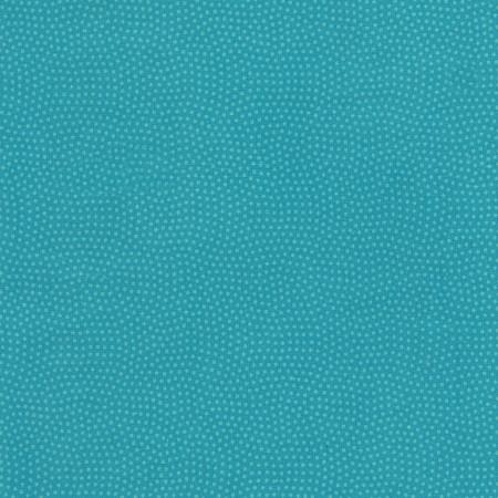 EvoShopify_110559.jpg