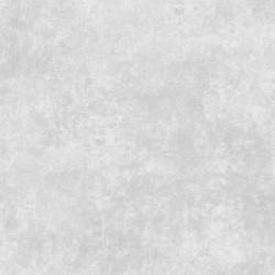 EvoShopify_123193.jpg