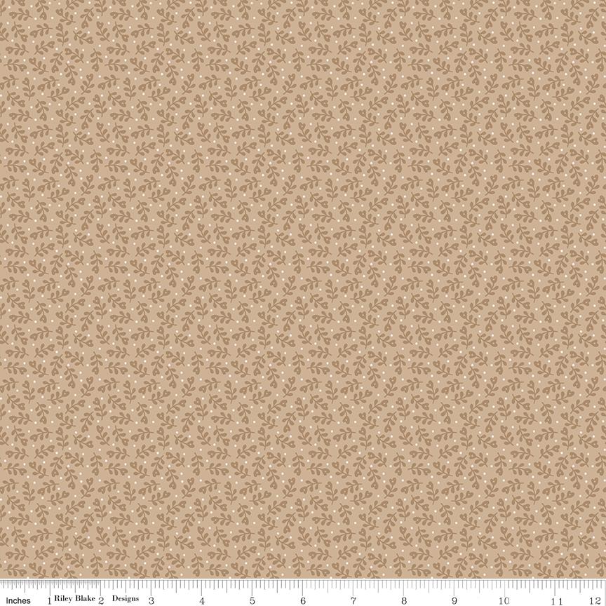 EvoShopify_123855.jpg