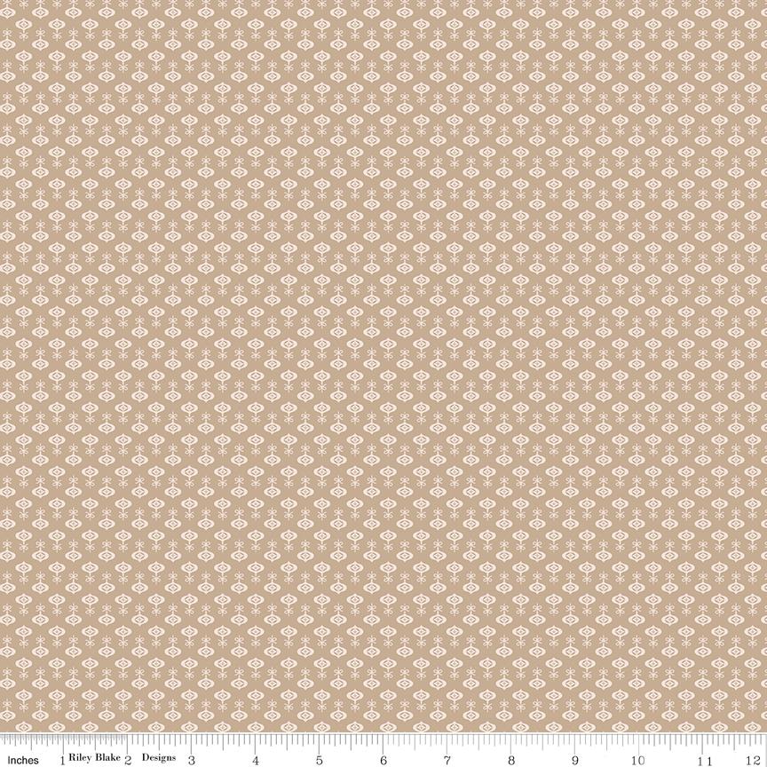 EvoShopify_123857.jpg
