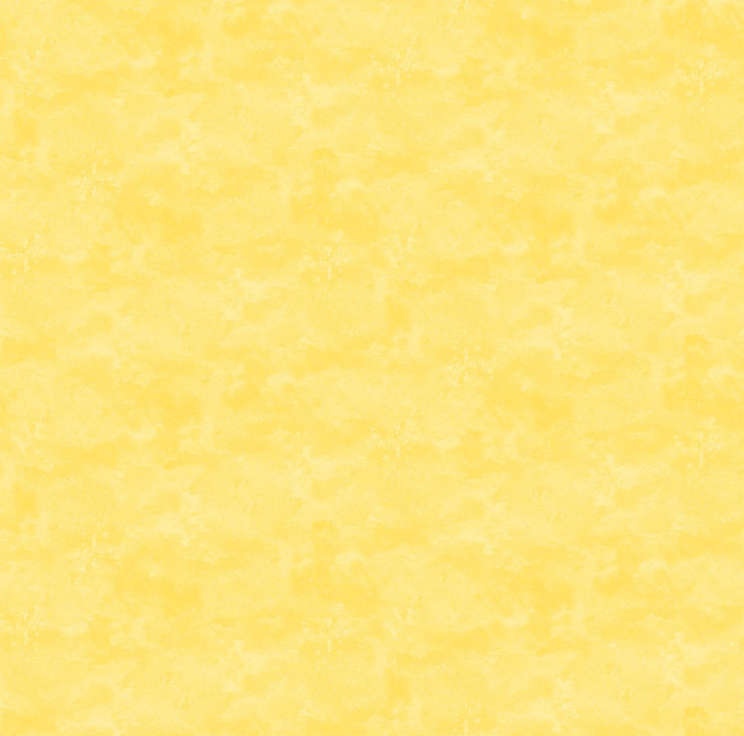 EvoShopify_124092.jpg