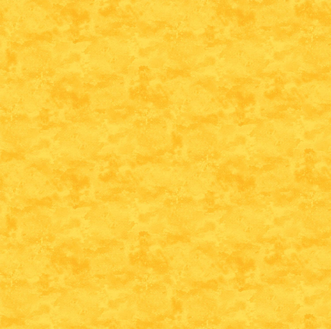 EvoShopify_124093.jpg
