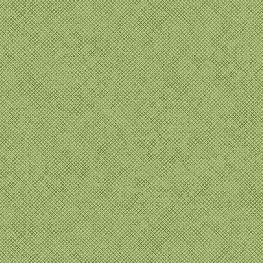 EvoShopify_124362.jpg