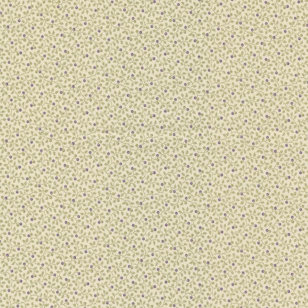 EvoShopify_124627.jpg