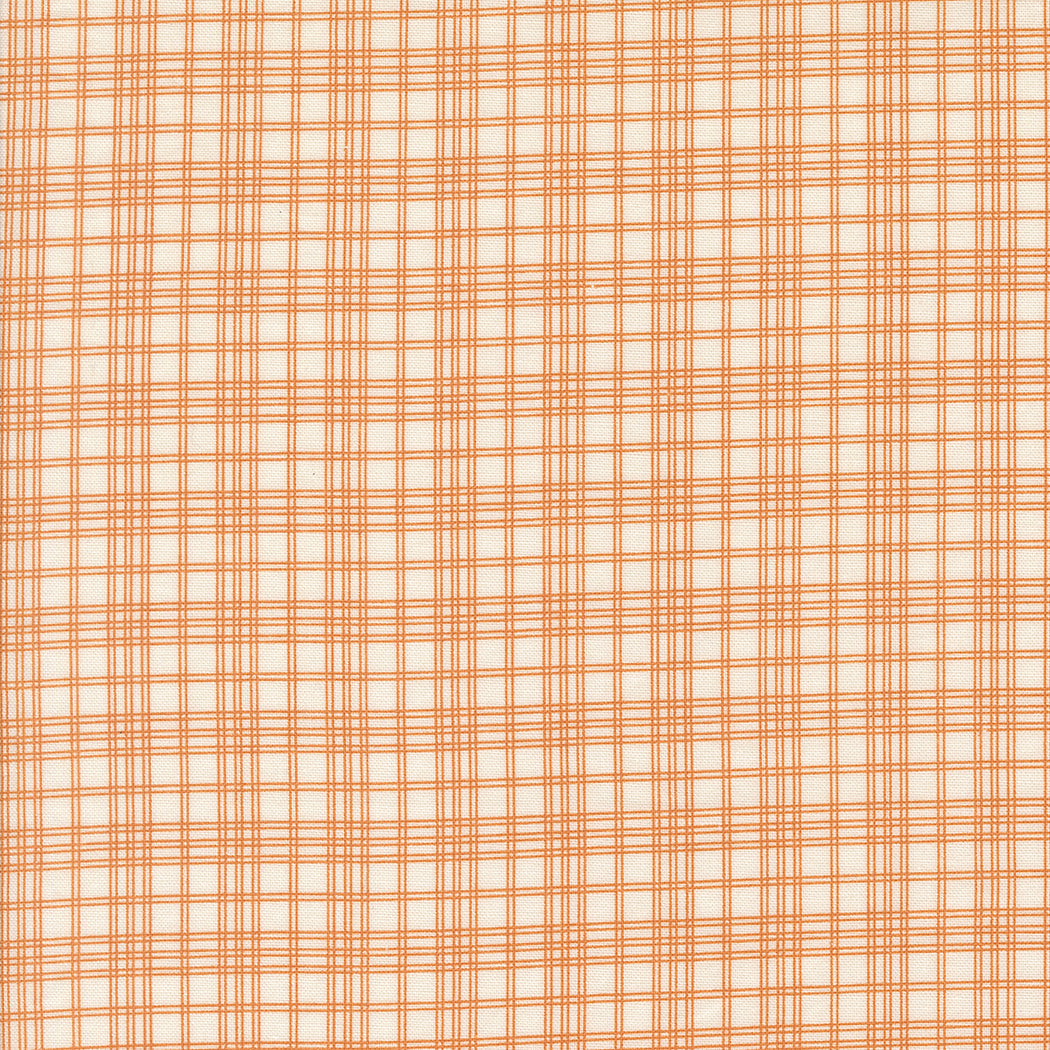 49294 15.jpg