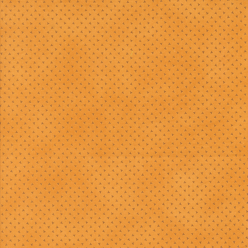 49296 21.jpg
