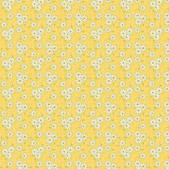 R351527D-YELLOW.jpg