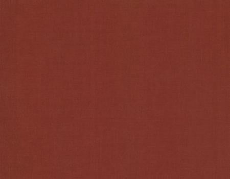 EvoShopify_101073.jpg