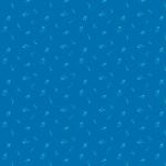 EvoShopify_115429.jpg