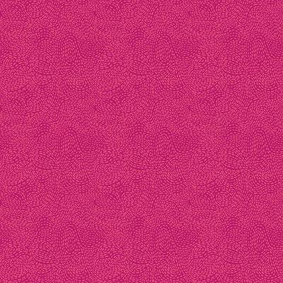 EvoShopify_118988.jpg