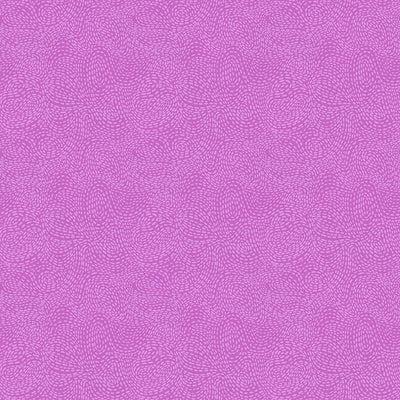 EvoShopify_118991.jpg