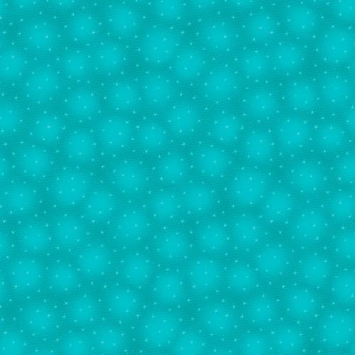 EvoShopify_120646.jpg