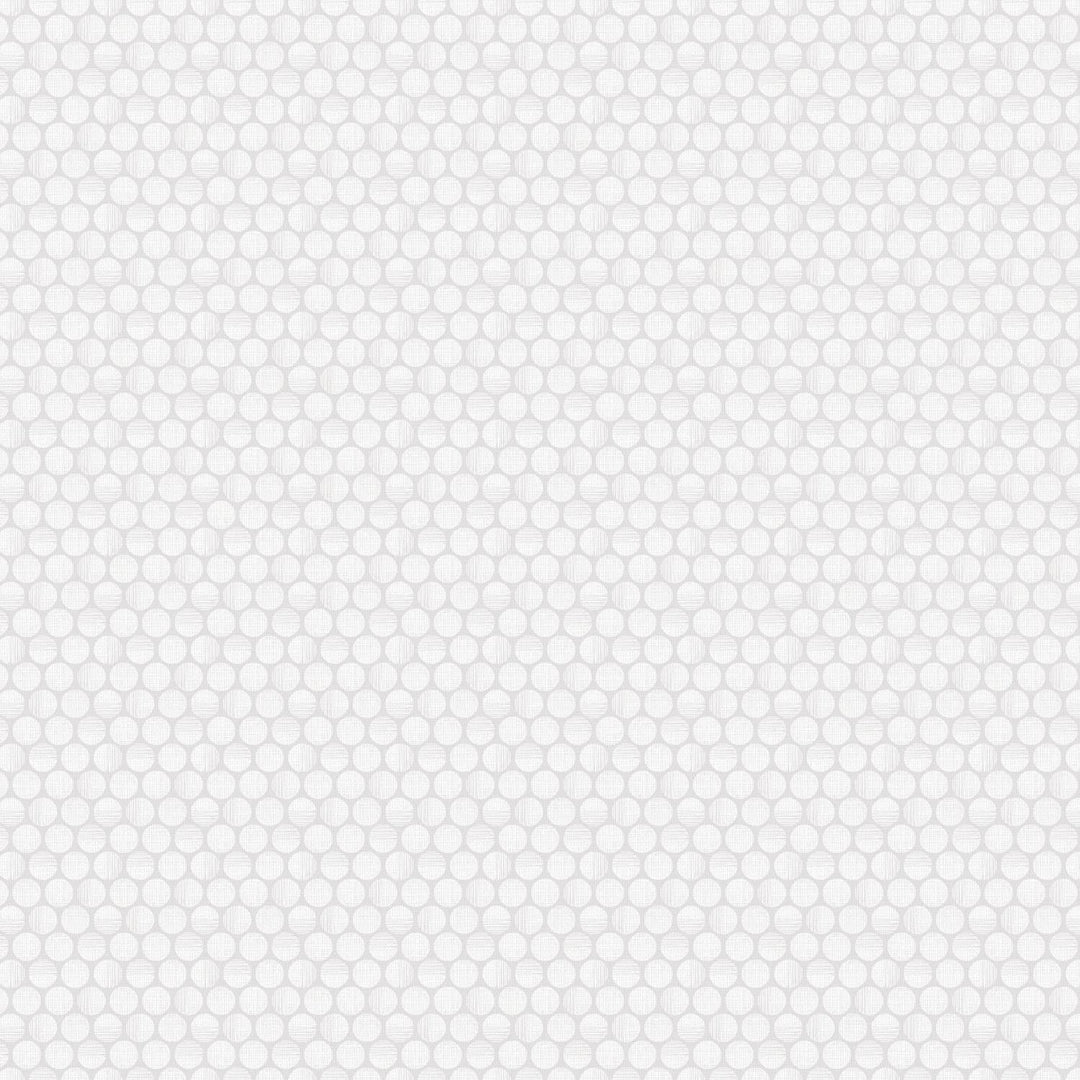 EvoShopify_122814.jpg