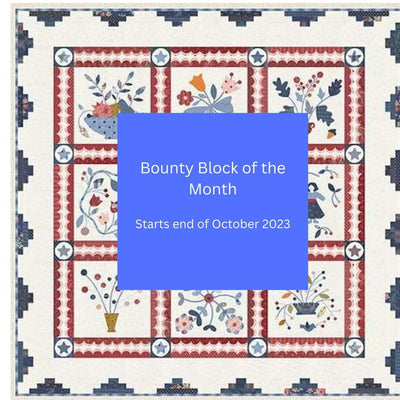 NEW! Bounty Block of the Month from Minick & Simpson