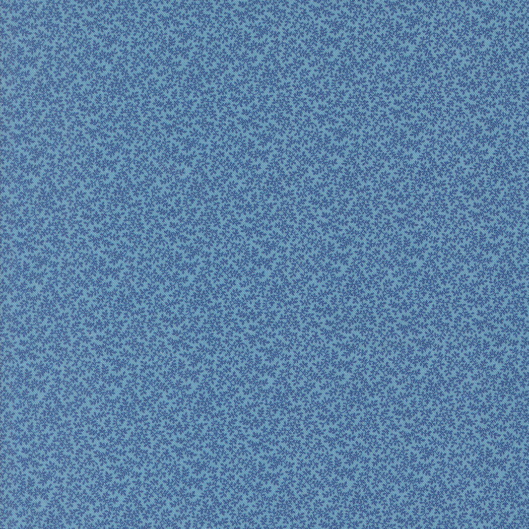 31720 14.jpg