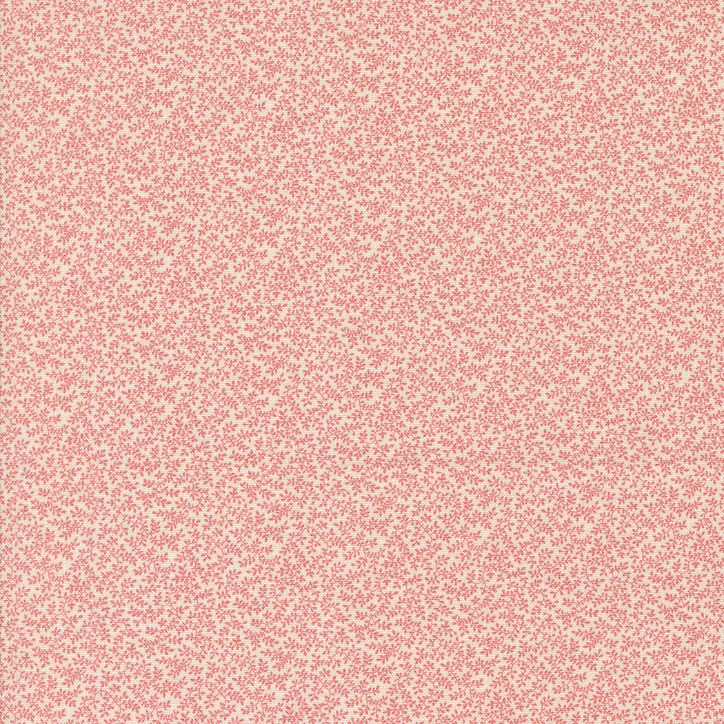 31720 12.jpg