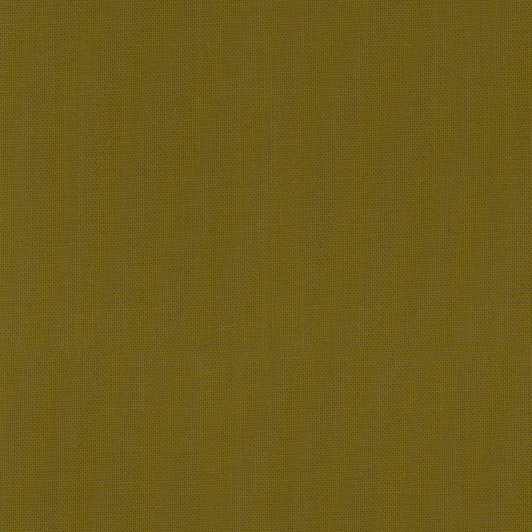 9900 486.jpg