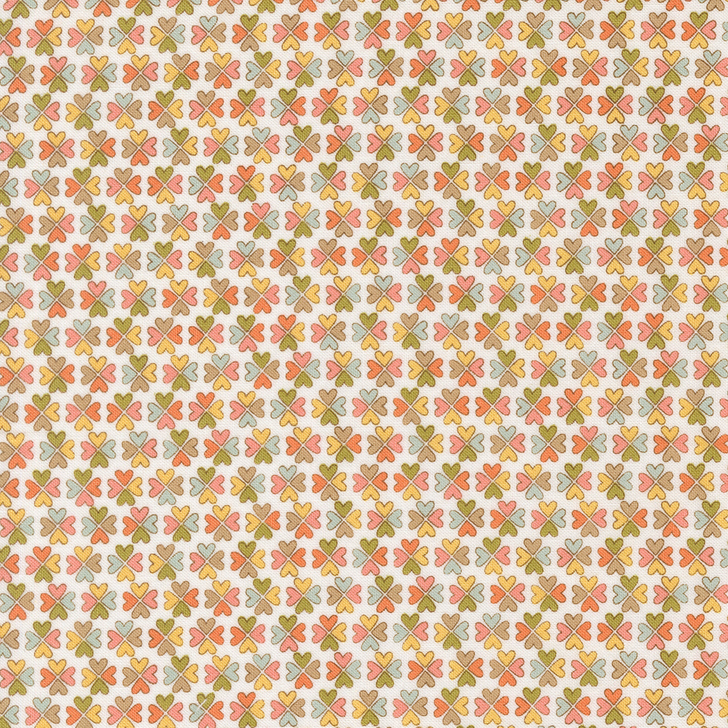 55703 11.jpg