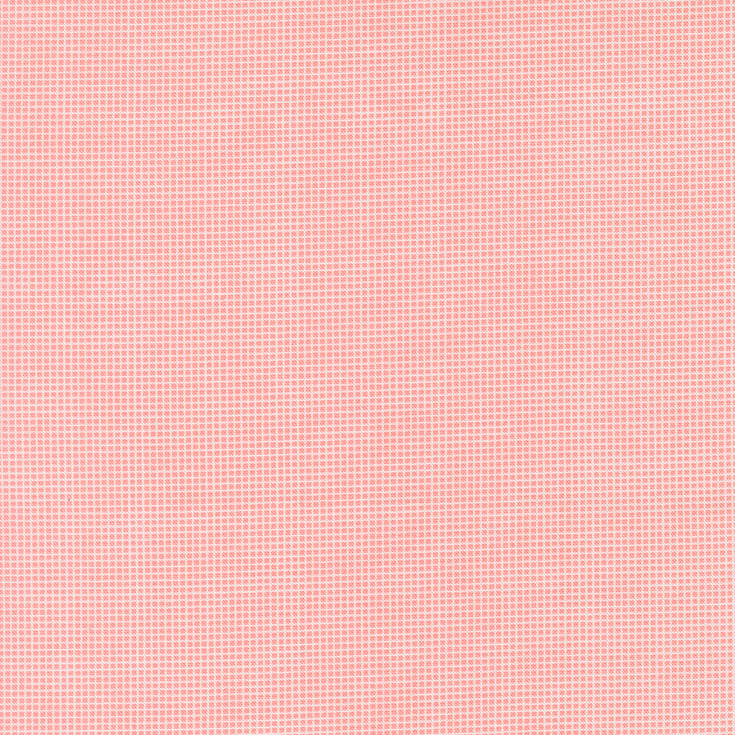 23377 13.jpg