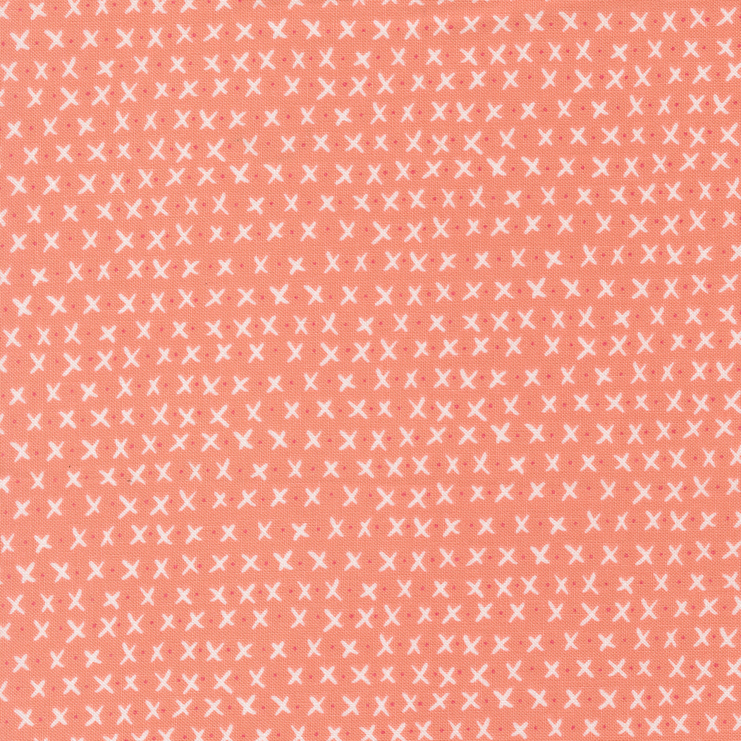 55705 23.jpg