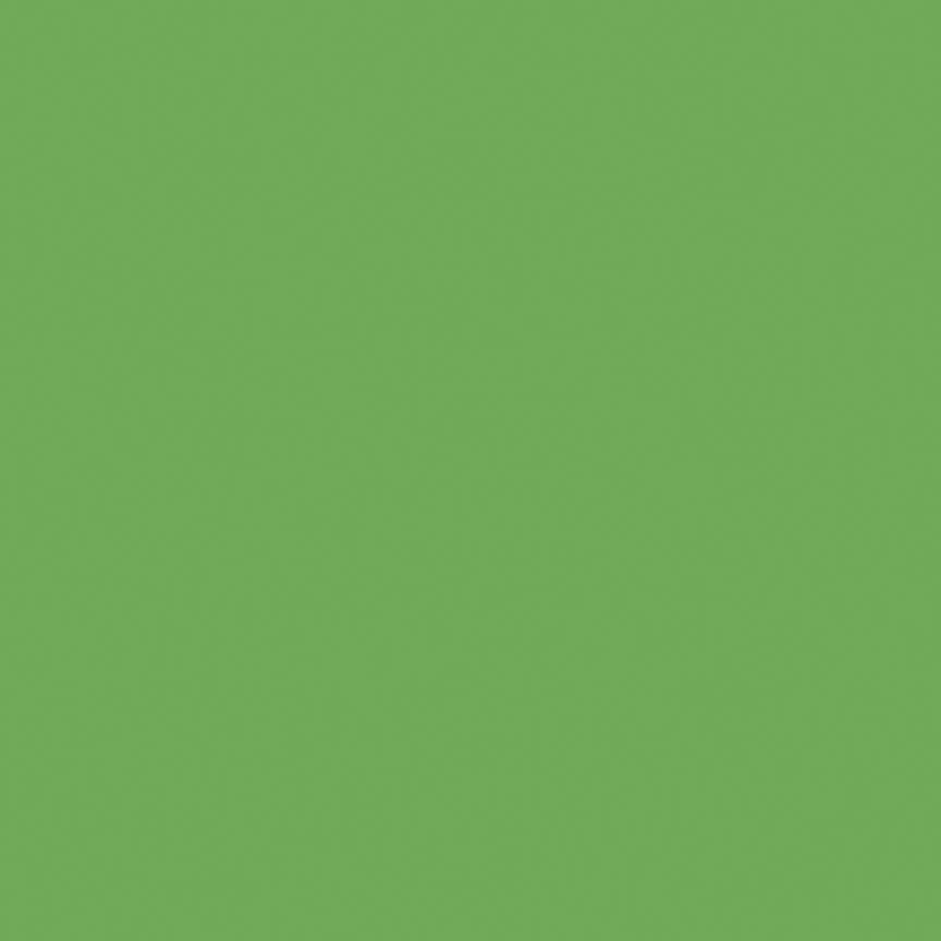 C120-RILEYGREEN-72dpi.jpg