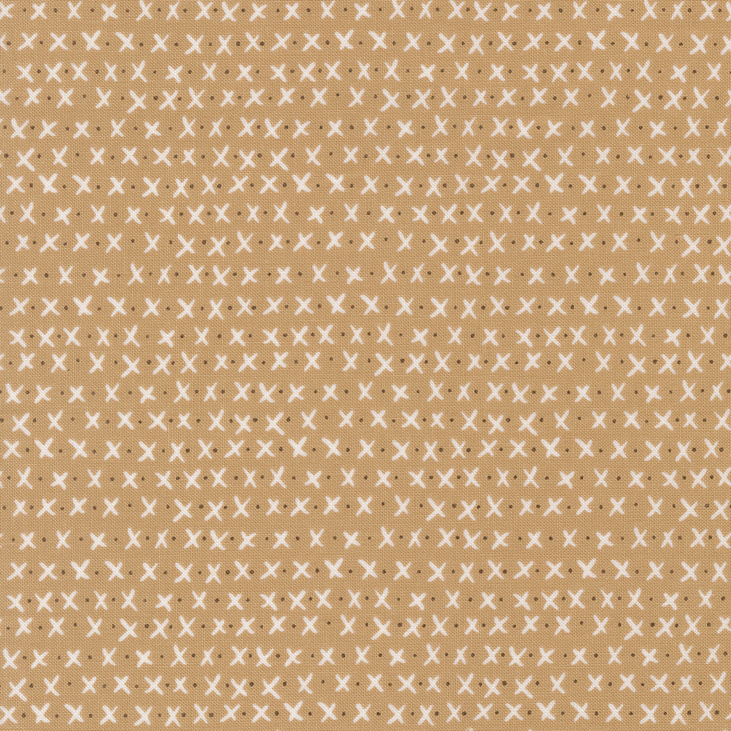 55705 27.jpg