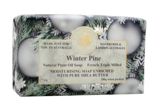 winter pine.jpg