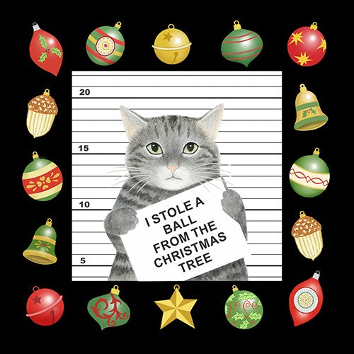 Flour Sack Set / 2 - Cat Burglar