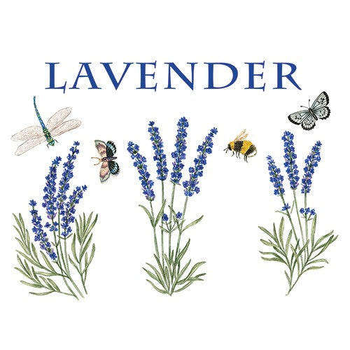 Flour Sack Set / 2 - Lavendar Sprigs