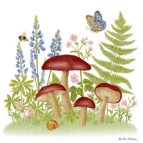Flour Sack Set / 2 - Mushroom