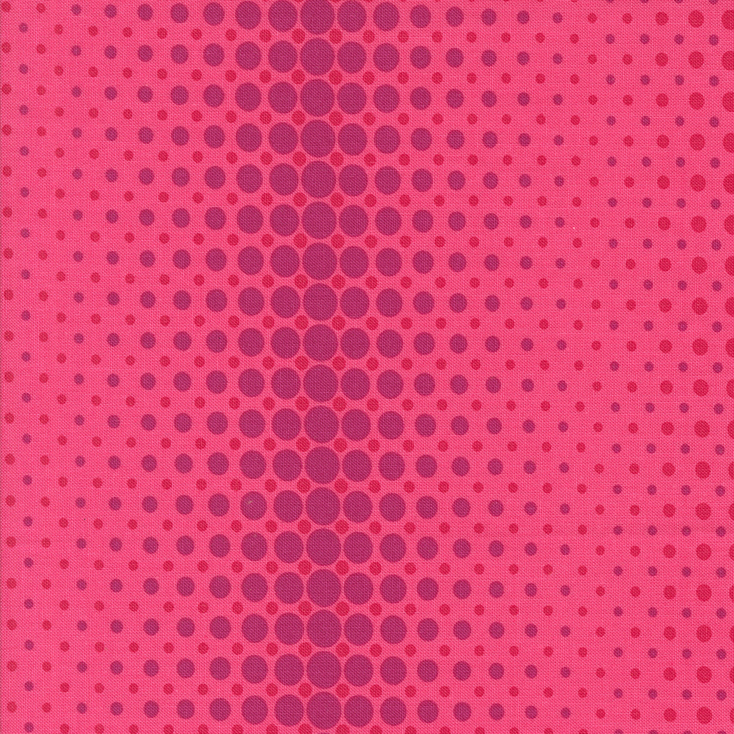 10885 24.jpg