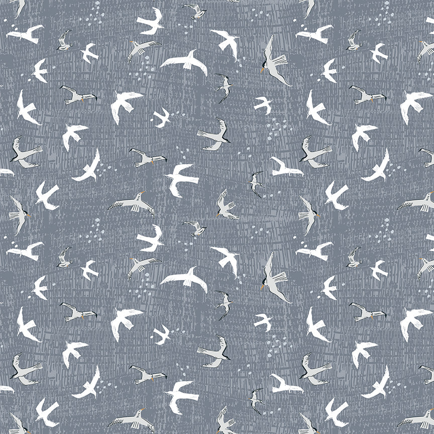 Rocky Coast - 55404-12