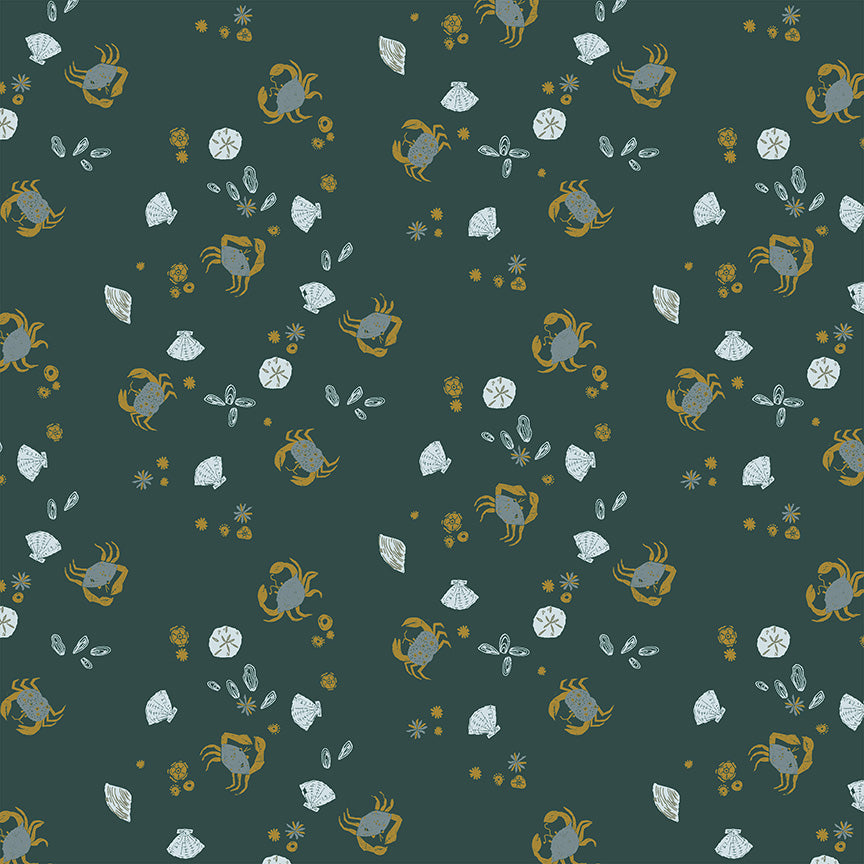 Rocky Coast 55405-14