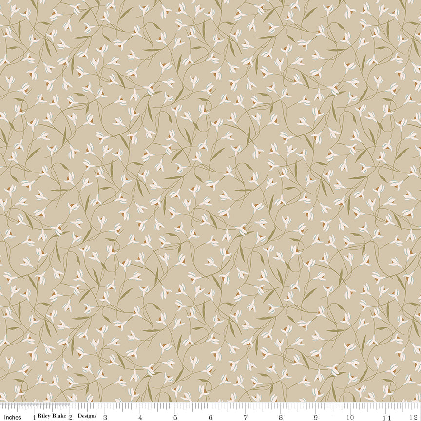 C16822-TAUPE-72dpi-wruler.jpg