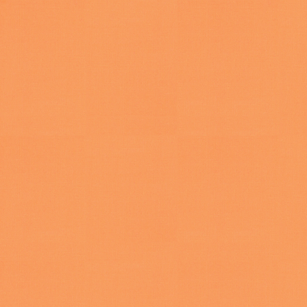 9900 480.jpg