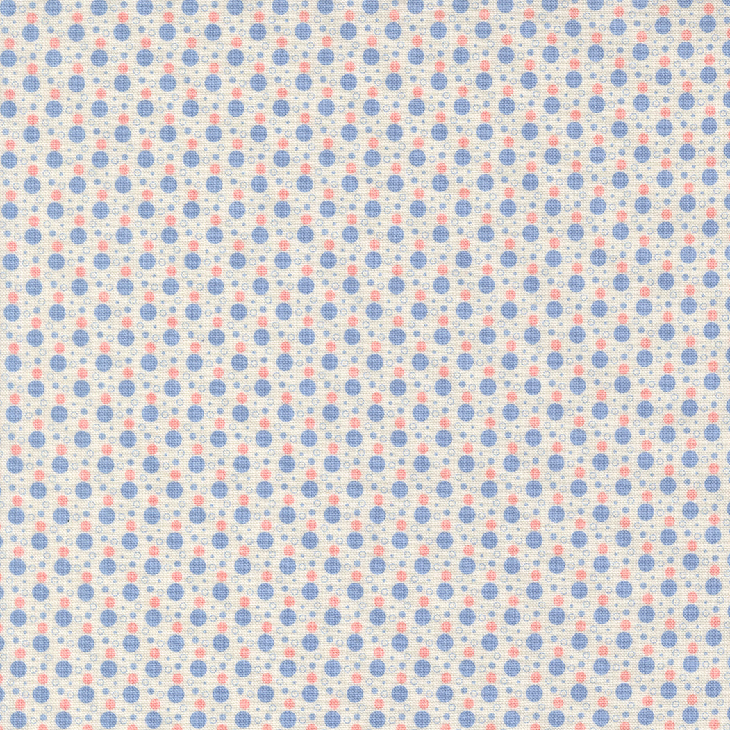 23376 22.jpg