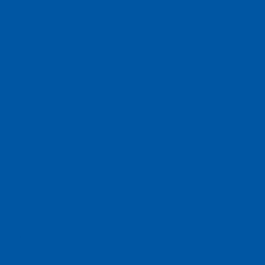 C120-RILEYROYALBLUE-72dpi.jpg