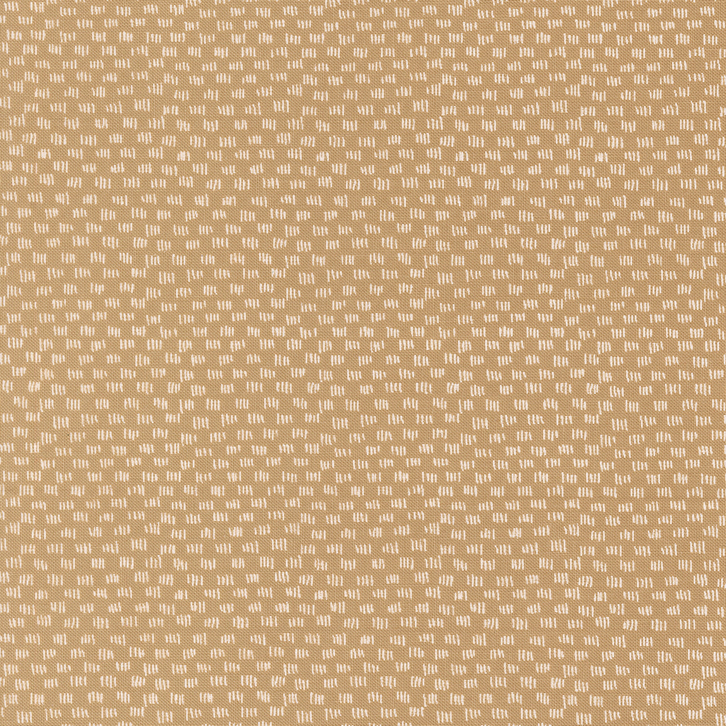 55704 17.jpg