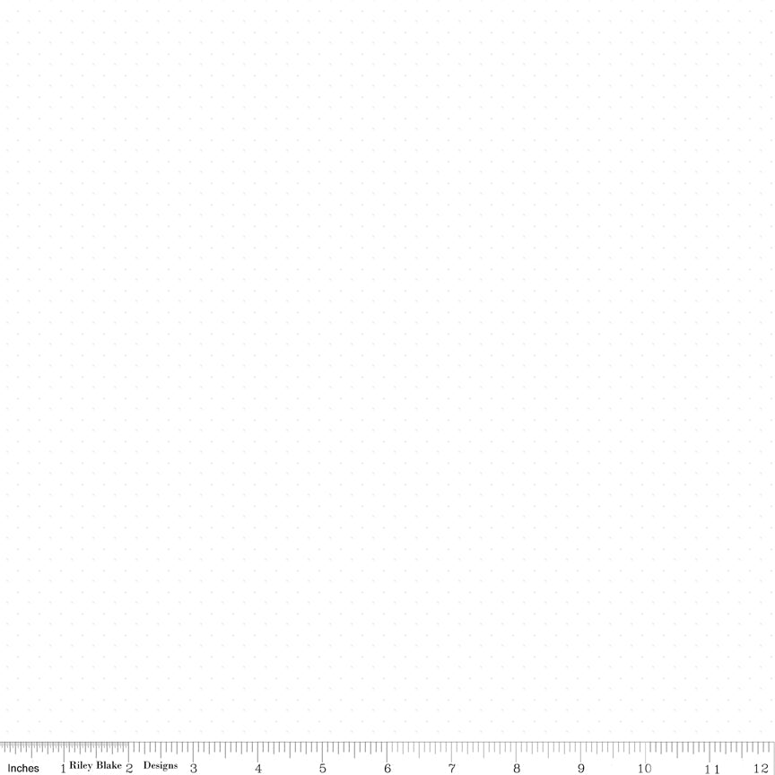 C845-WHITE-72dpi-wruler.jpg