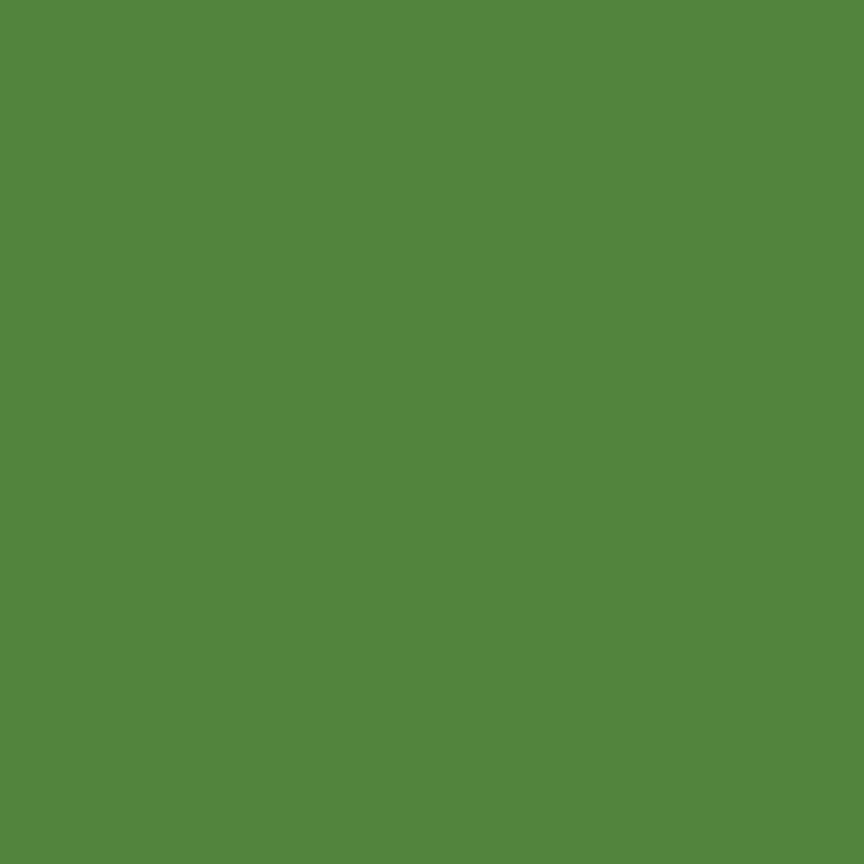 C120-HOLLY-72dpi.jpg