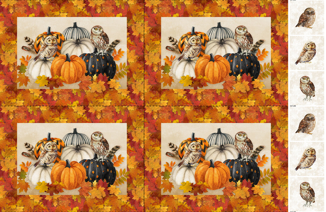 Night Owl Placemat Panel