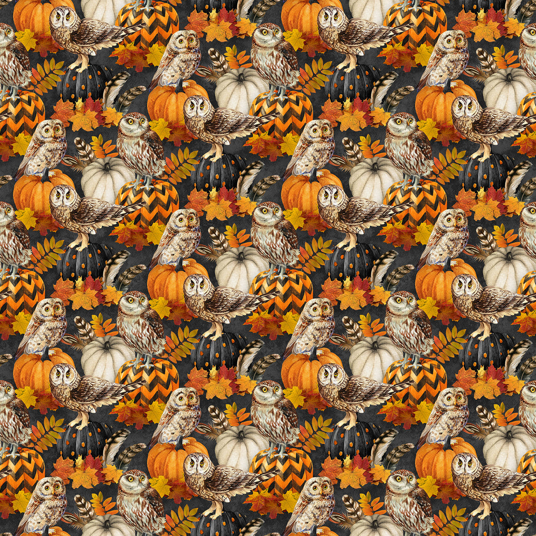 Night Owl - DP28846-96