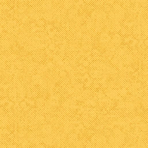 EvoShopify_124009.jpg