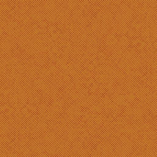 EvoShopify_124011.jpg
