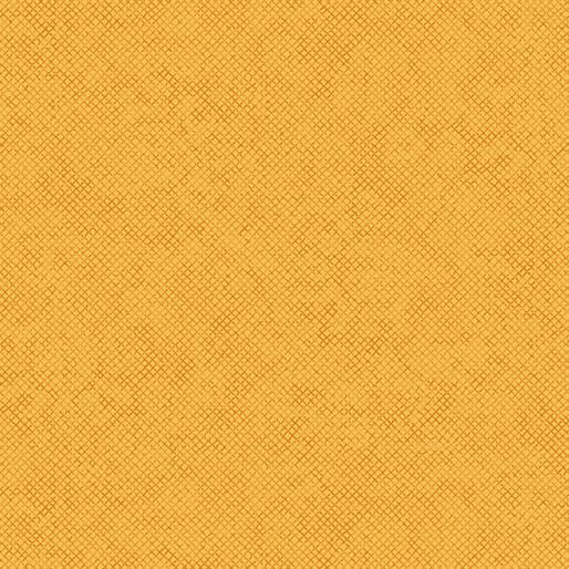 EvoShopify_124330.jpg