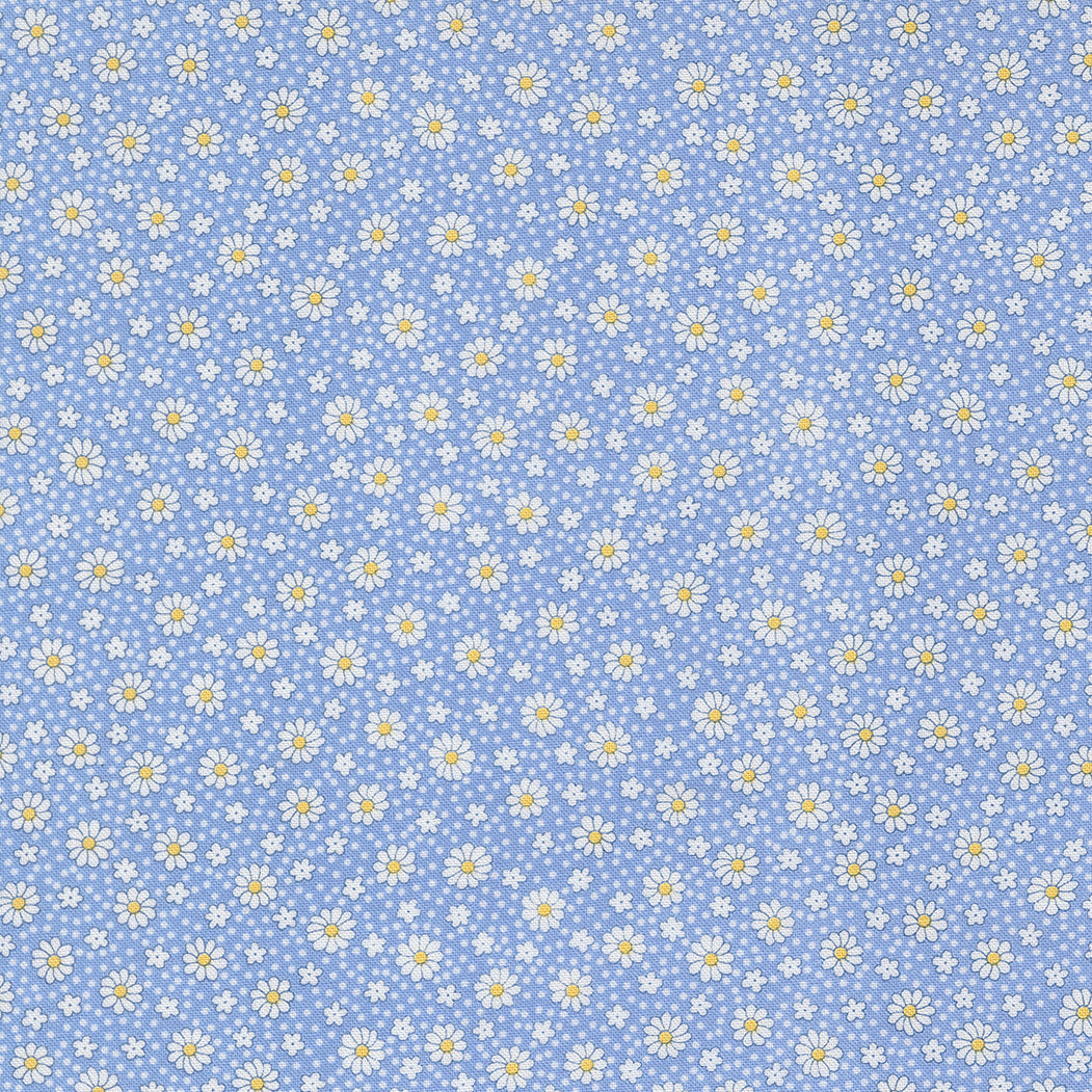 23379 17.jpg