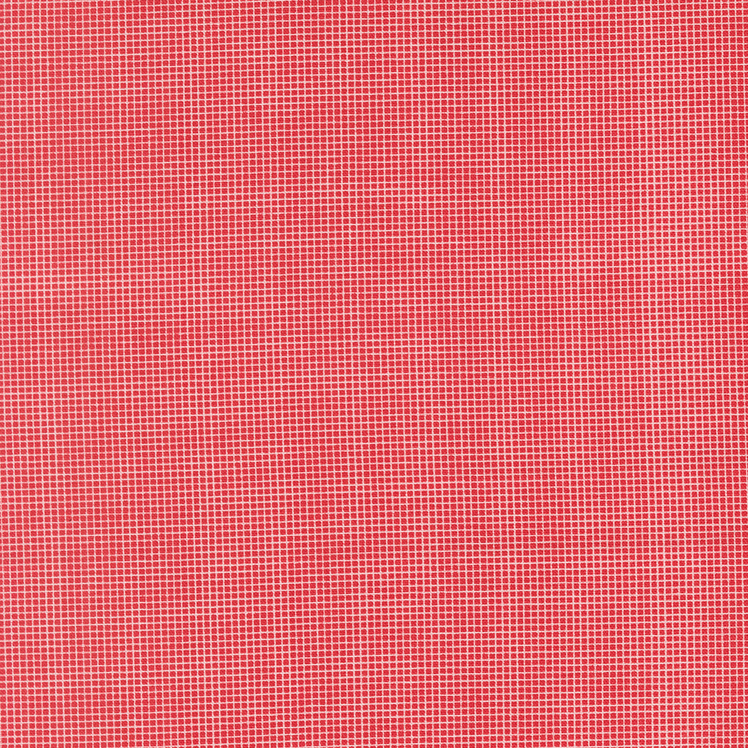 23377 14.jpg