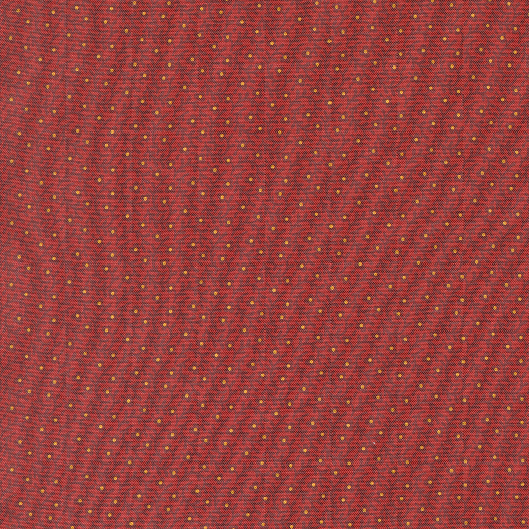 31714 11.jpg